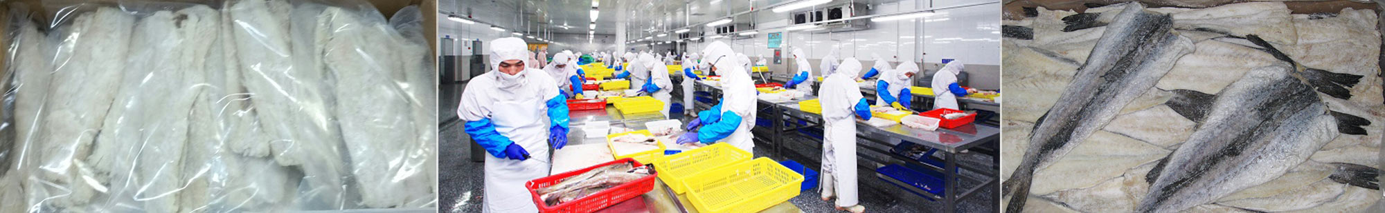 Quality Control and Food Safety